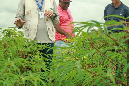 DIA DE CAMPO “ROÇA SUSTENTÁVEL” FORTALECE A AGRICULTURA FAMILIAR EM RIACHÃO