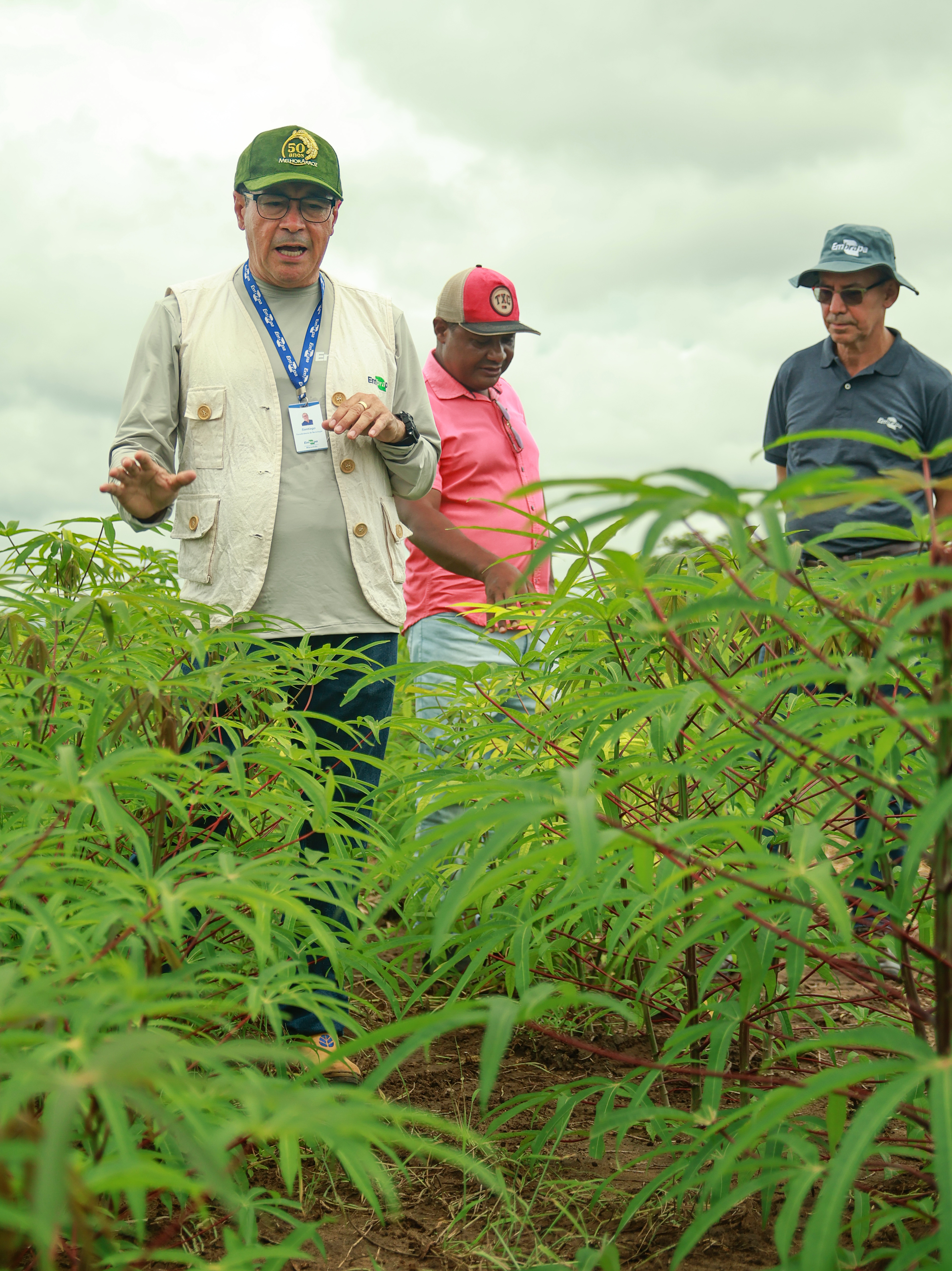 DIA DE CAMPO “ROÇA SUSTENTÁVEL” FORTALECE A AGRICULTURA FAMILIAR EM RIACHÃO