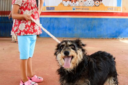 “Xô Calazar”: Prefeitura de Riachão Realiza Ação de Testagem e Vacinação Antirrábica em Cães