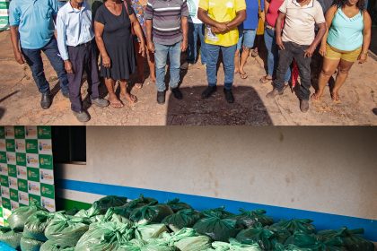 Prefeitura de Riachão realiza entrega de sementes de feijão a produtores rurais