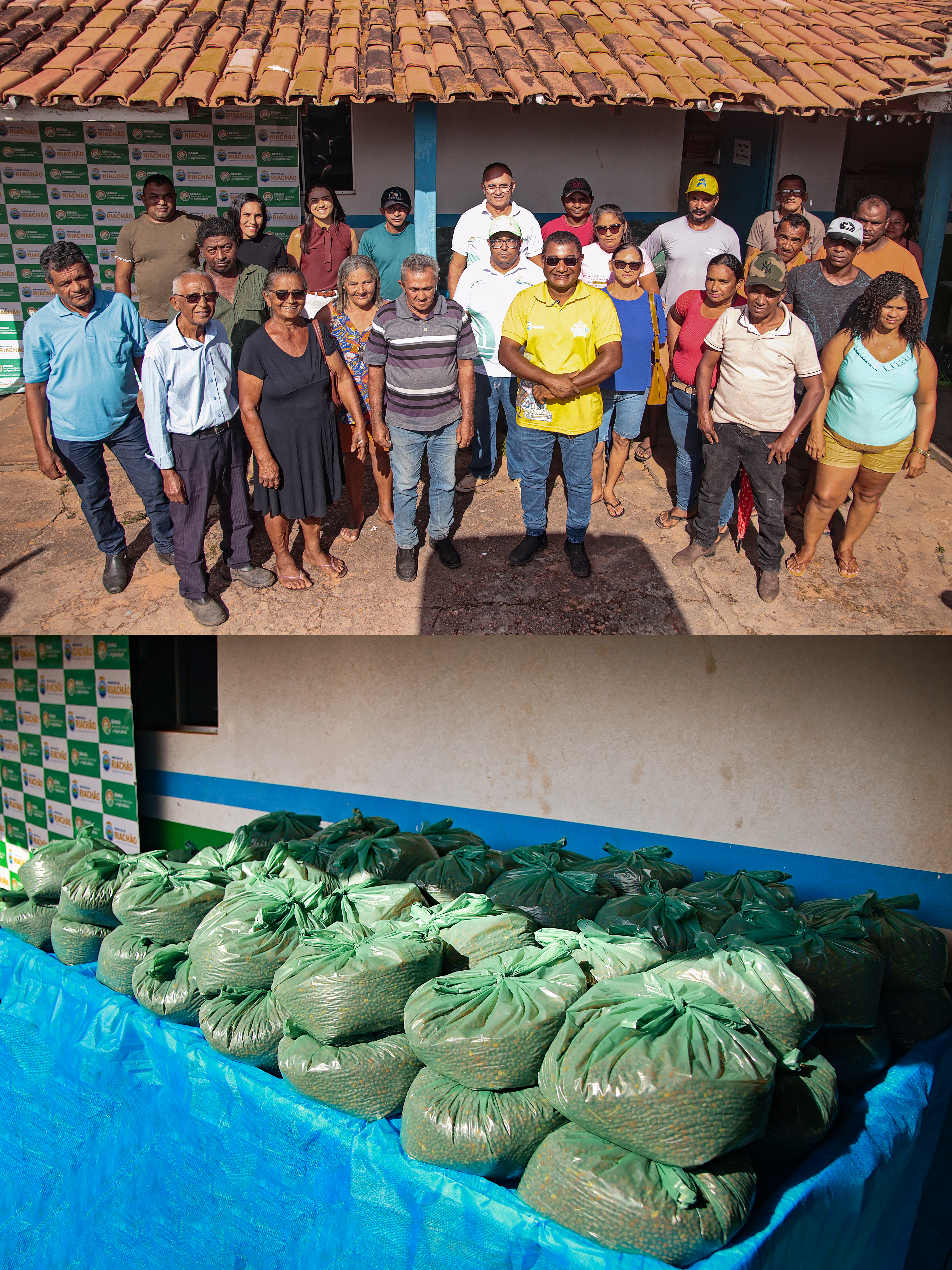 Prefeitura de Riachão realiza entrega de sementes de feijão a produtores rurais