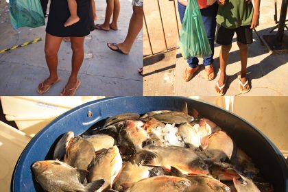 Prefeitura de Riachão realiza entrega de peixes na sede e nos povoados