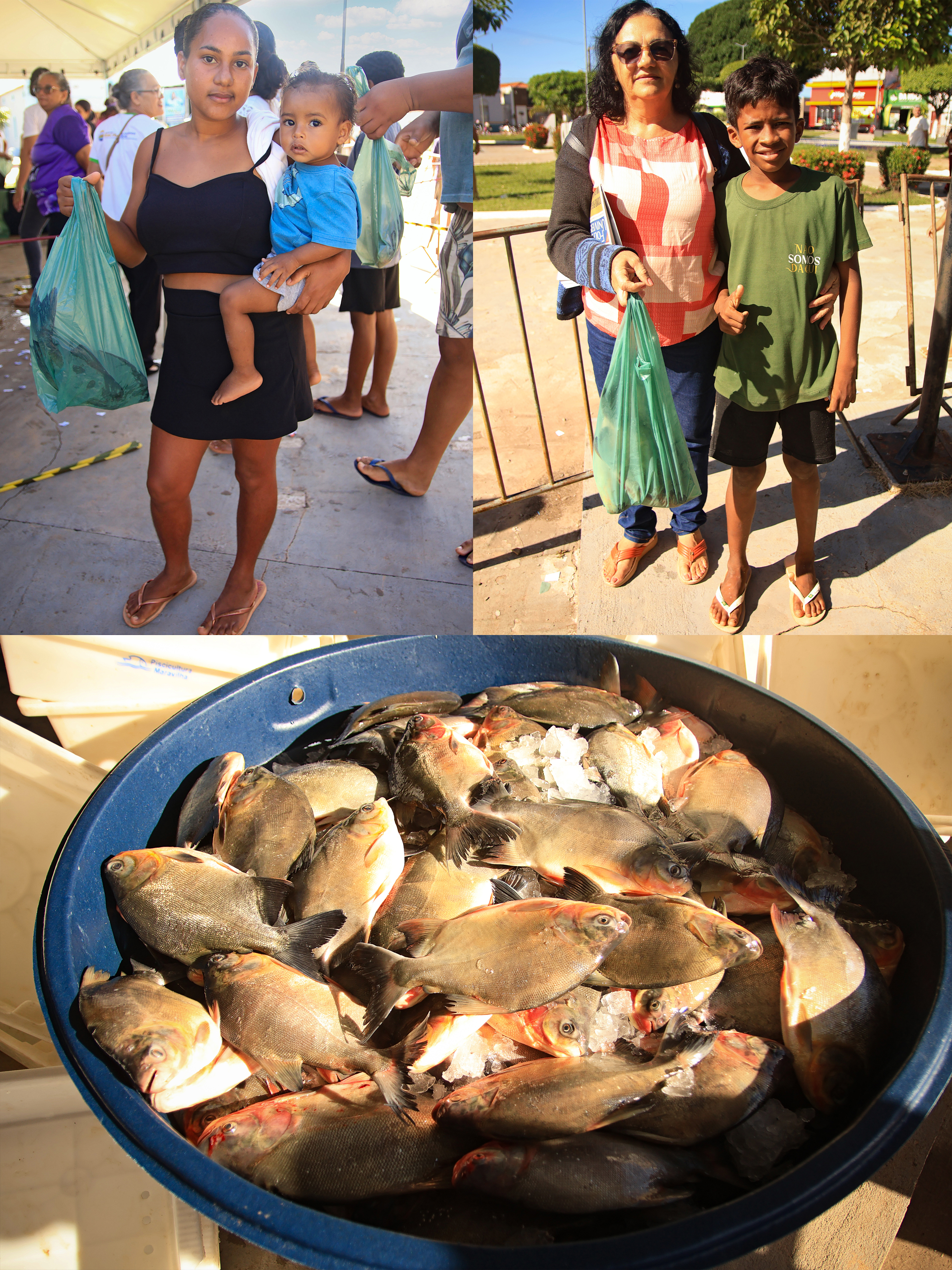 Prefeitura de Riachão realiza entrega de peixes na sede e nos povoados